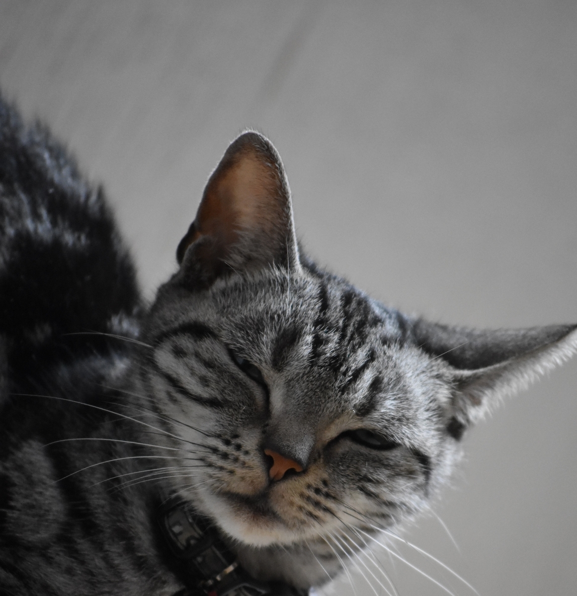 f:id:BlueTech:20200907201741j:plain