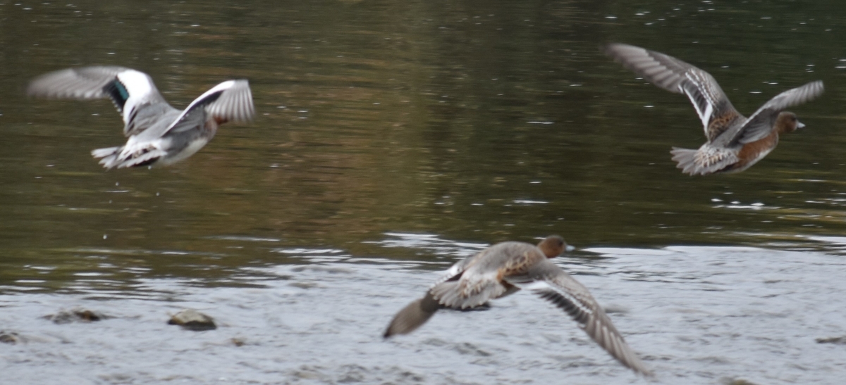 f:id:BlueTech:20200907203441j:plain