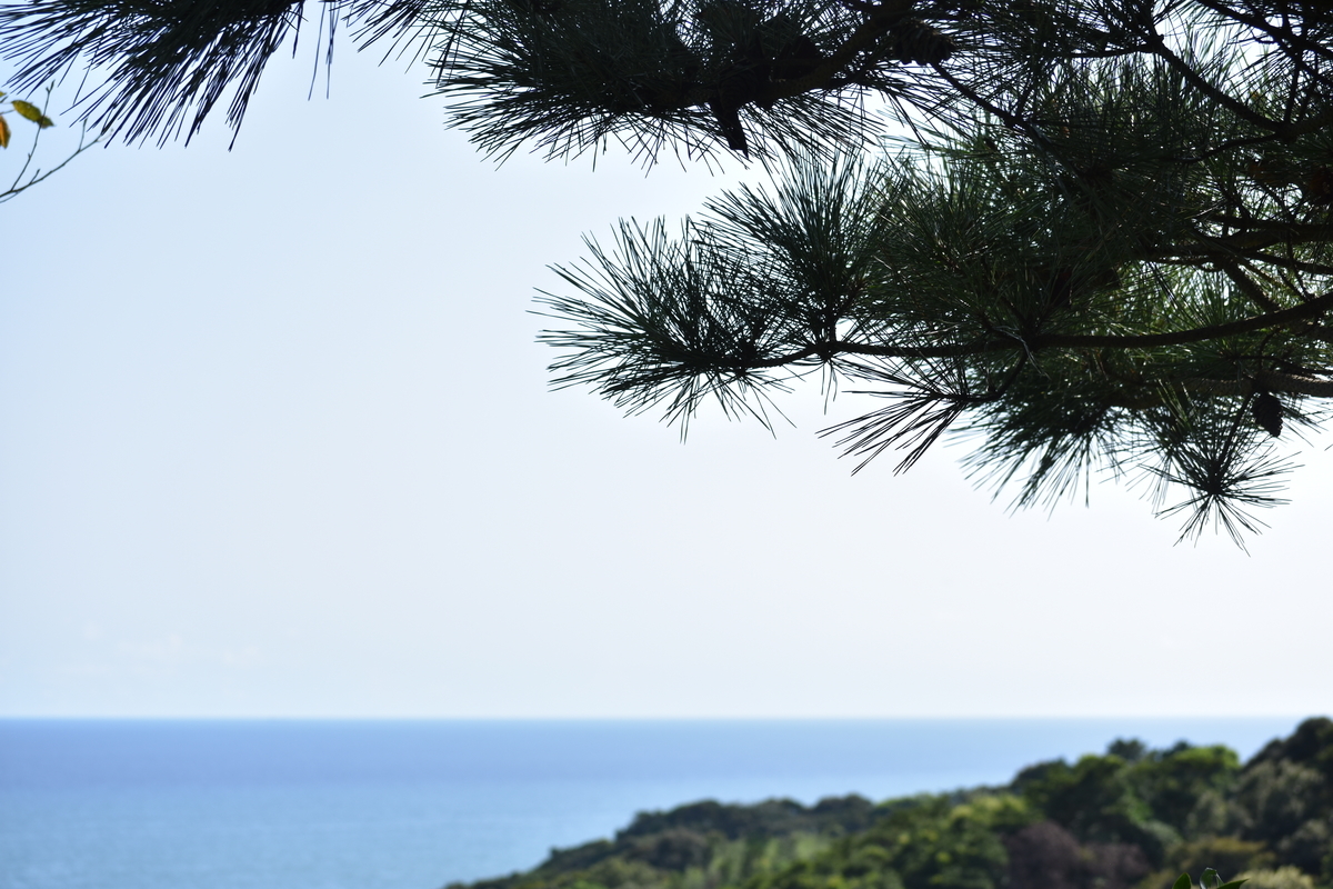 f:id:BlueTech:20200907203543j:plain