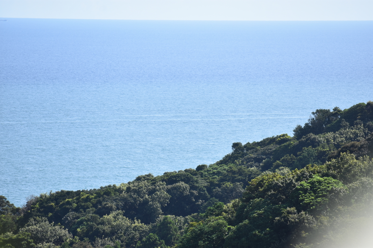 f:id:BlueTech:20200907211913j:plain