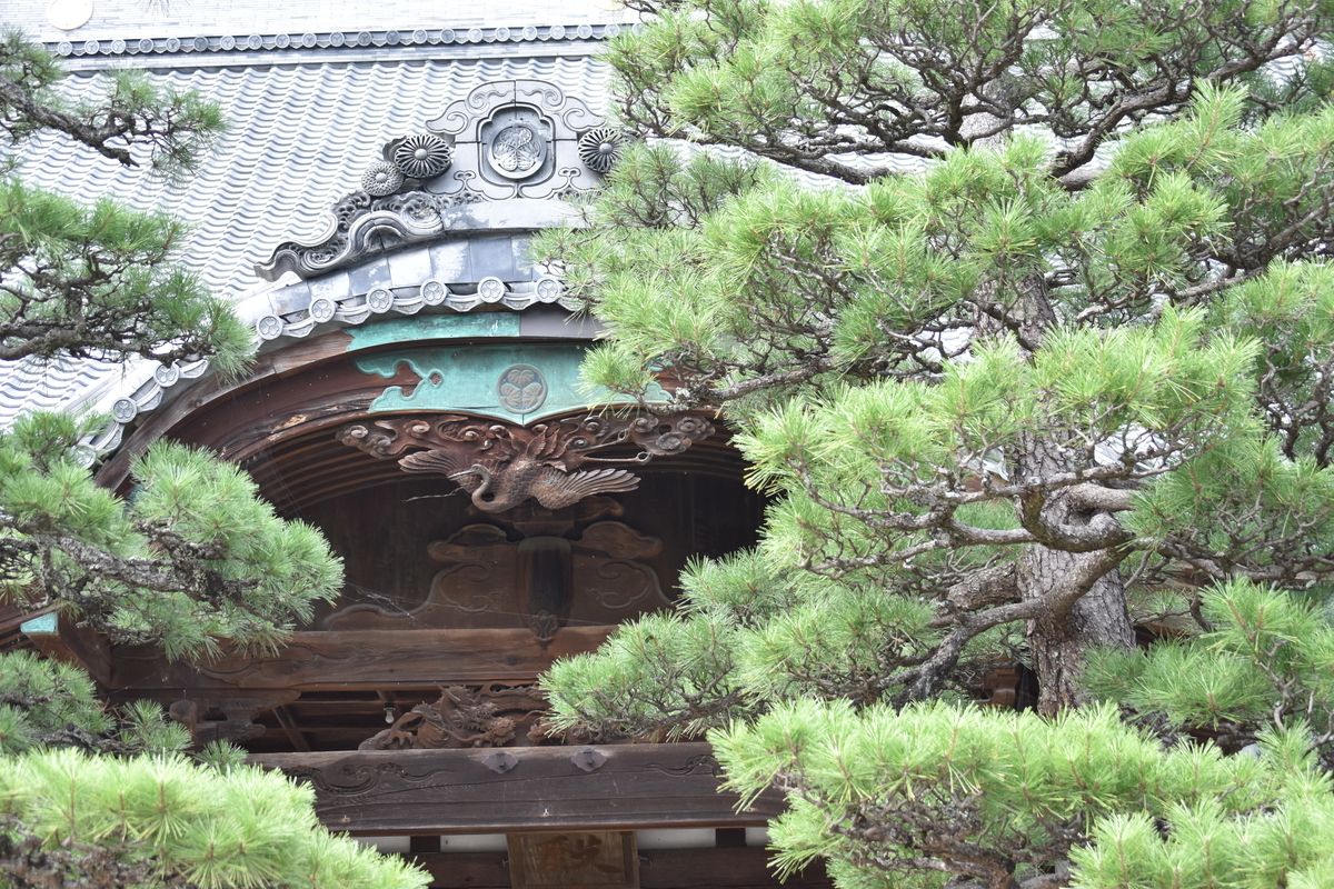 f:id:BlueTech:20200907212503j:plain f:id:BlueTech:20200907212503j:plain