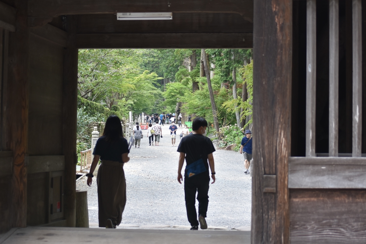 f:id:BlueTech:20200907212518j:plain f:id:BlueTech:20200907212518j:plain