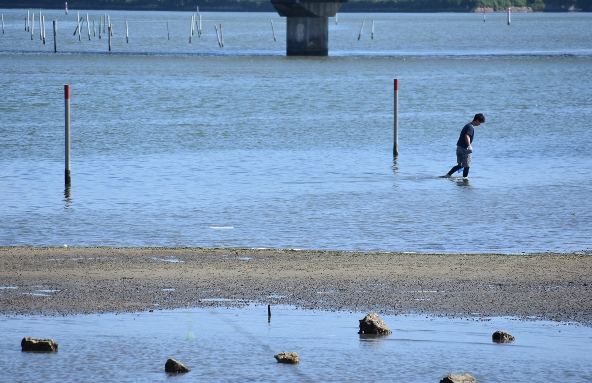 f:id:BlueTech:20200908063620j:plain