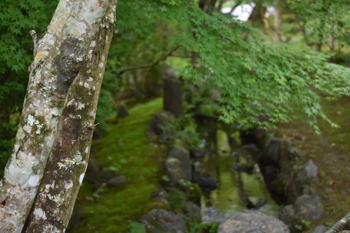 f:id:BlueTech:20200908063900j:plain f:id:BlueTech:20200908063900j:plain