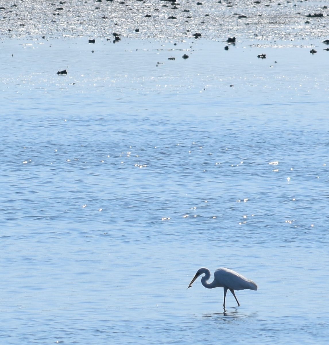 f:id:BlueTech:20200908064349j:plain