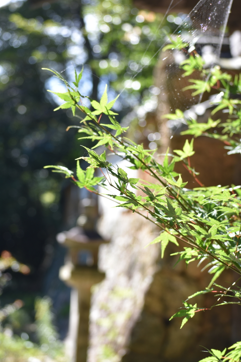 f:id:BlueTech:20200908065049j:plain