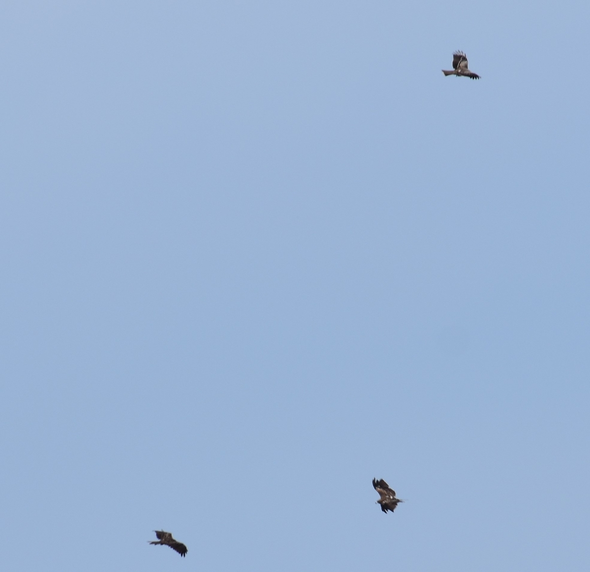 f:id:BlueTech:20200908075504j:plain