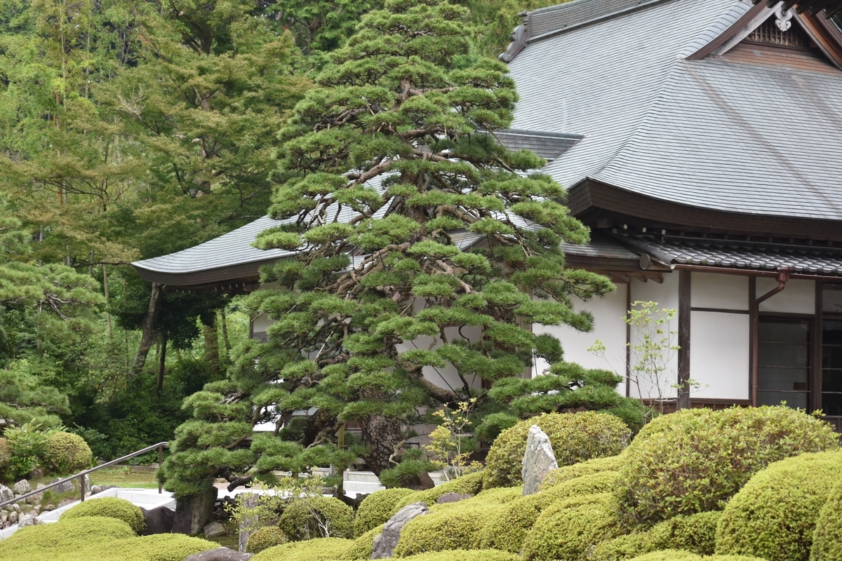 f:id:BlueTech:20200908080312j:plain f:id:BlueTech:20200908080312j:plain