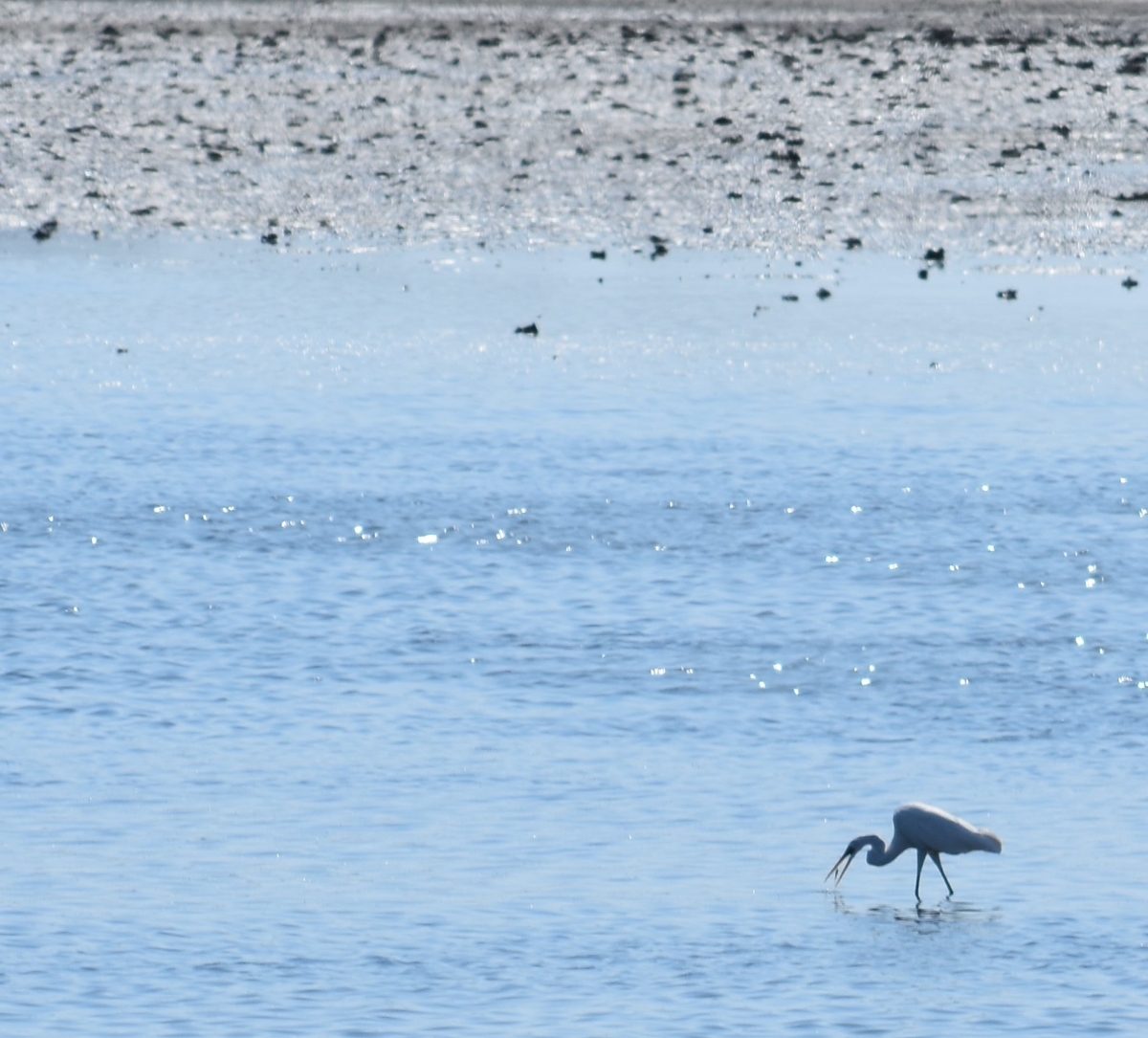 f:id:BlueTech:20200908080453j:plain