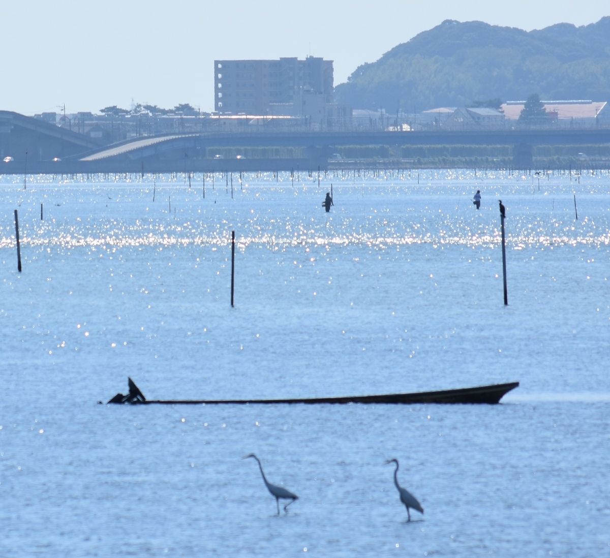 f:id:BlueTech:20200908080505j:plain