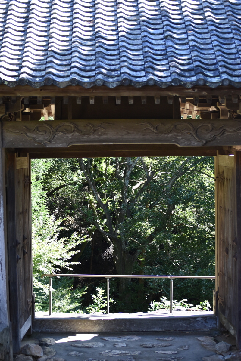 f:id:BlueTech:20200908081423j:plain