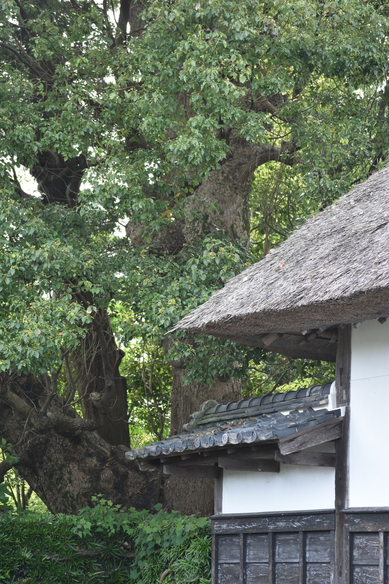 f:id:BlueTech:20200908081645j:plain