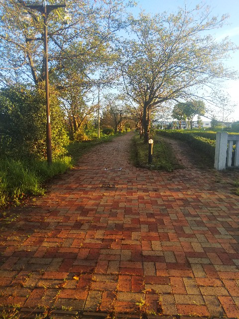 f:id:BlueTech:20200911062509j:plain