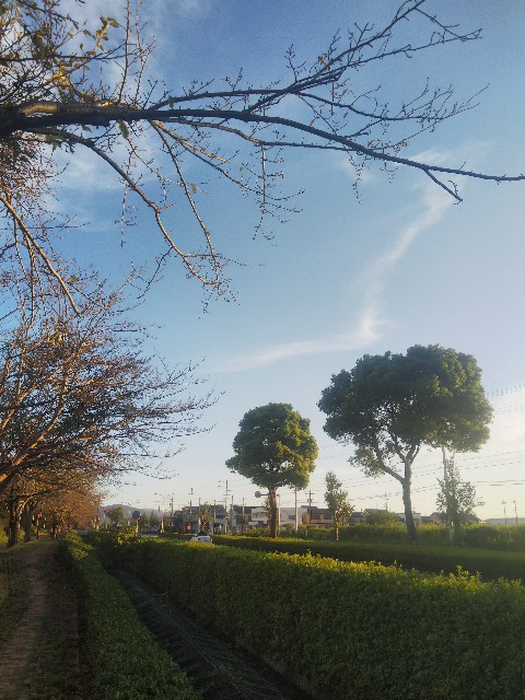 f:id:BlueTech:20200911064328j:plain