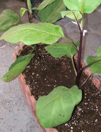 f:id:BlueTech:20200913062053j:plain