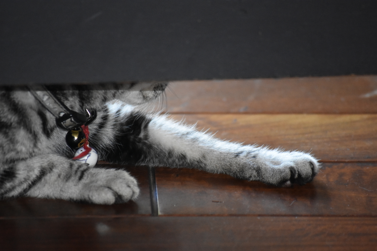 f:id:BlueTech:20200913111638j:plain