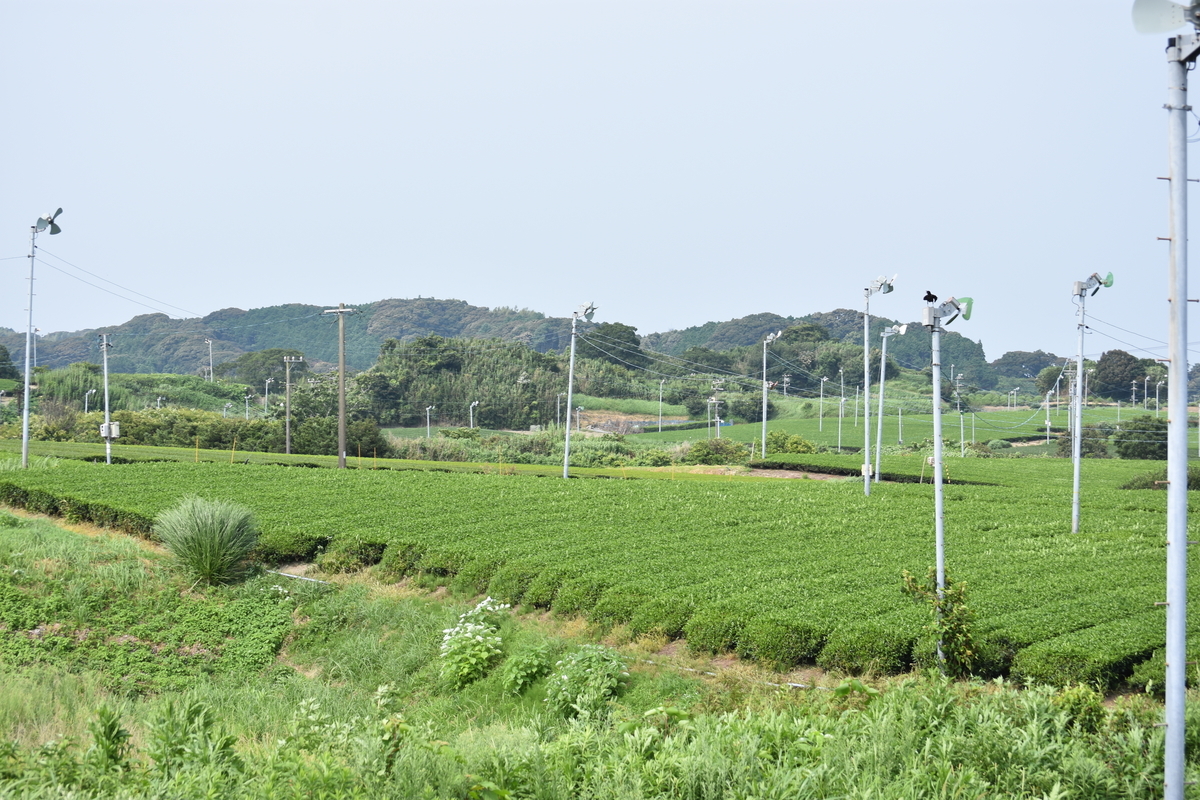 f:id:BlueTech:20200915114139j:plain