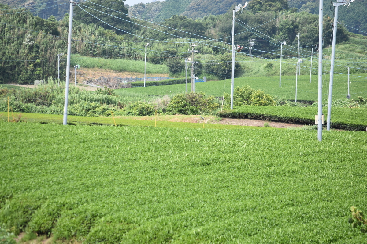 f:id:BlueTech:20200915114203j:plain