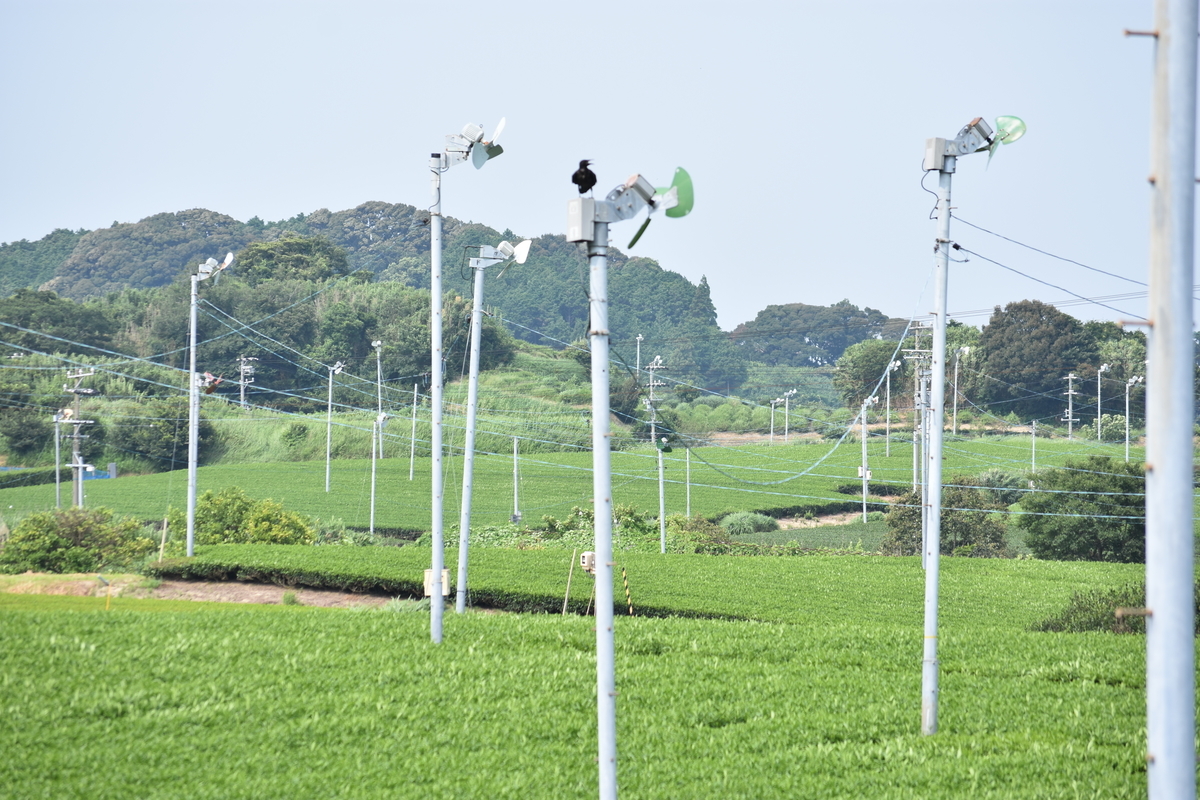 f:id:BlueTech:20200915114224j:plain