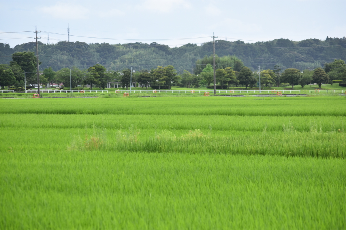 f:id:BlueTech:20200915131707j:plain