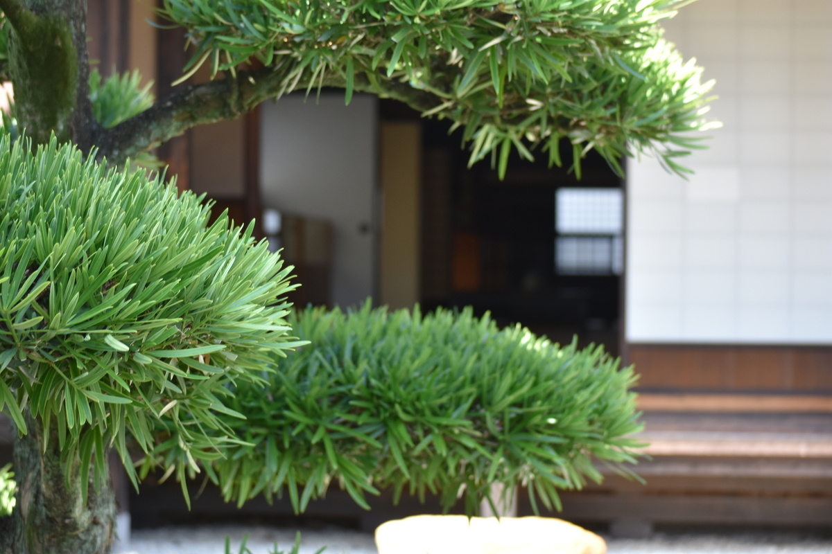 f:id:BlueTech:20200915132504j:plain