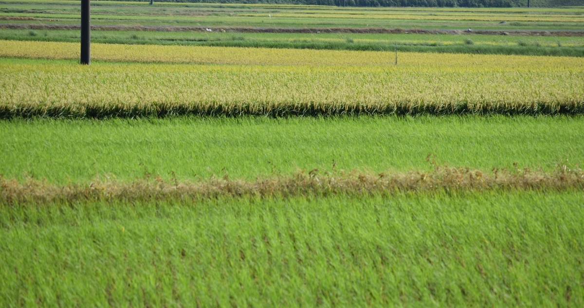 f:id:BlueTech:20200919191640j:plain