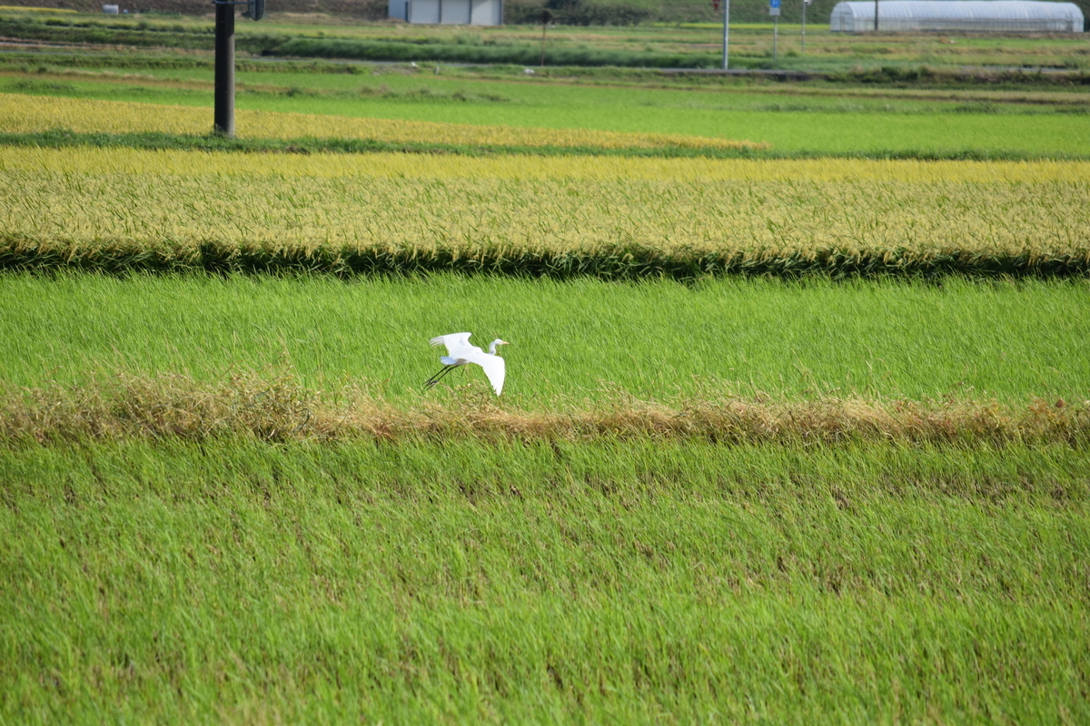 f:id:BlueTech:20200919191756j:plain