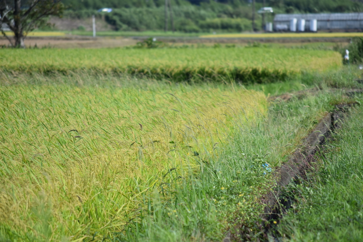 f:id:BlueTech:20200919191858j:plain