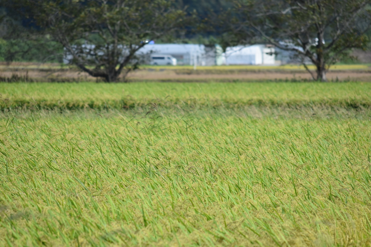 f:id:BlueTech:20200919191910j:plain