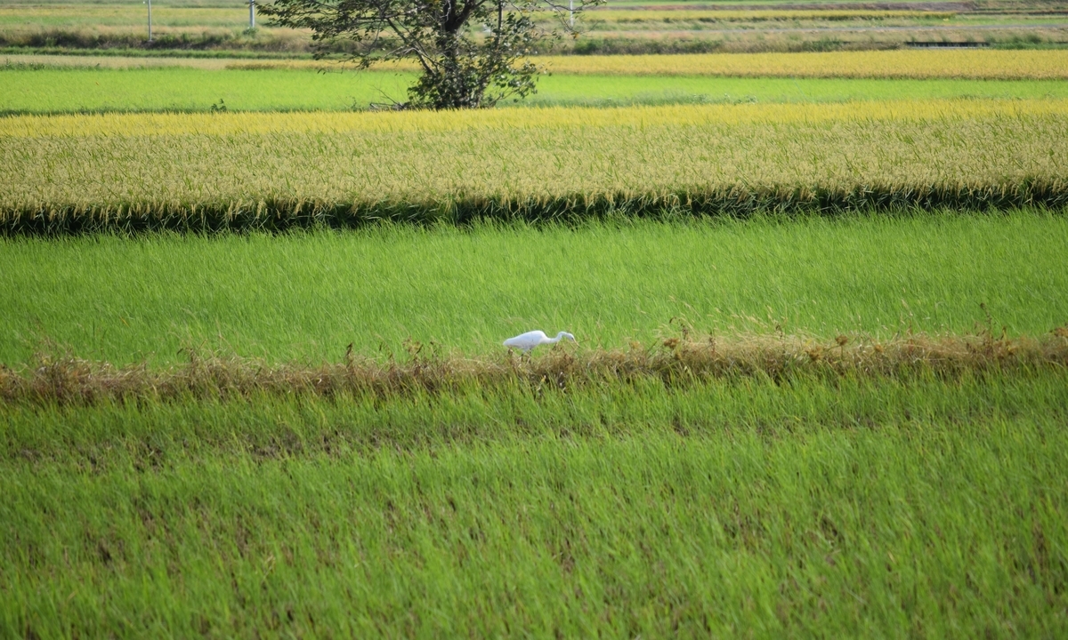 f:id:BlueTech:20200919191924j:plain