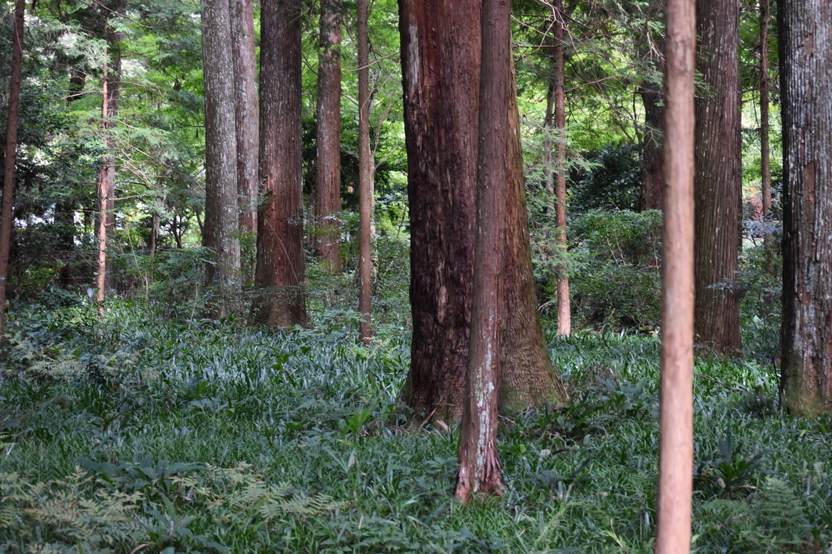 f:id:BlueTech:20200919195750j:plain