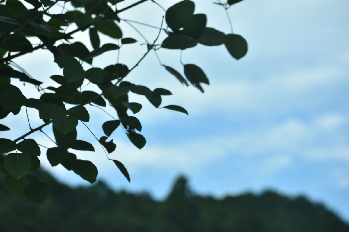 f:id:BlueTech:20200919202742j:plain