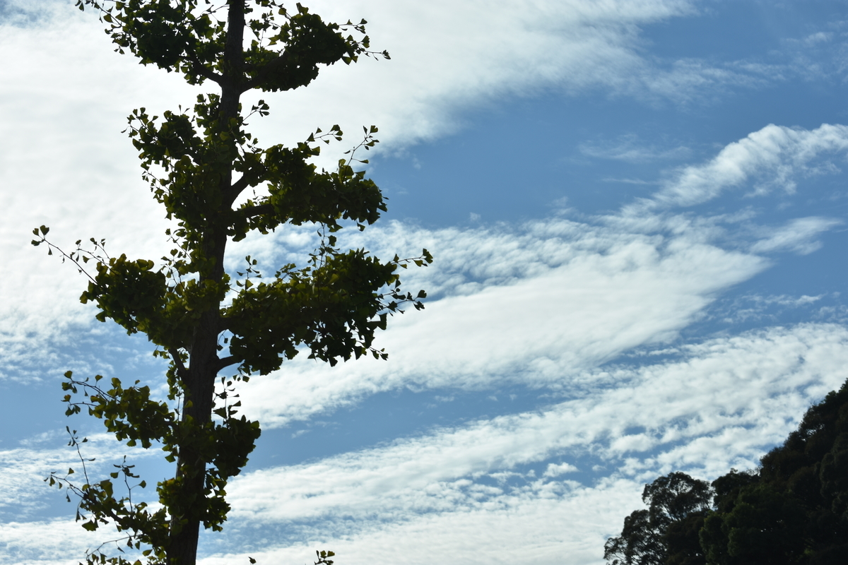 f:id:BlueTech:20200919202810j:plain