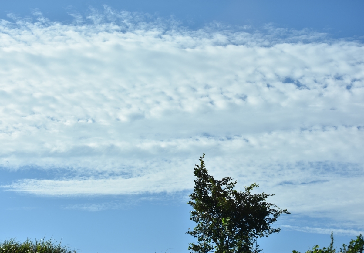 f:id:BlueTech:20200919202911j:plain