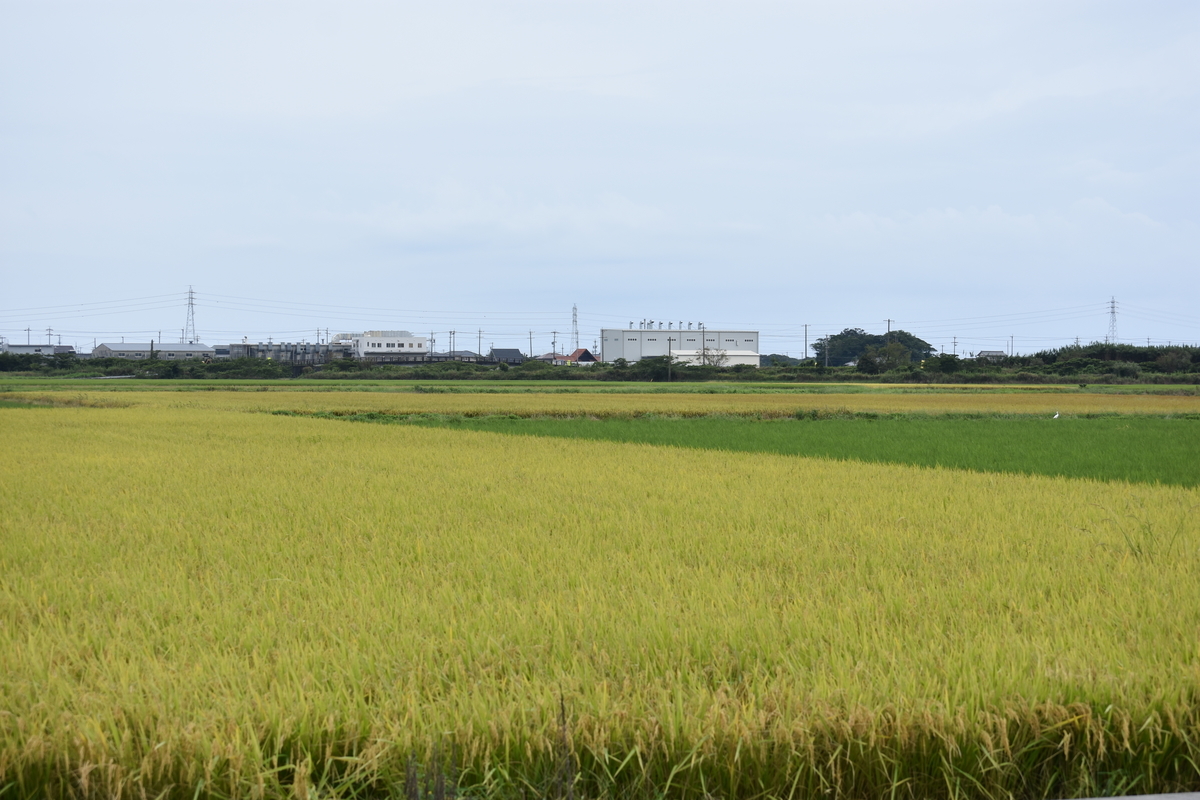 f:id:BlueTech:20200920190648j:plain