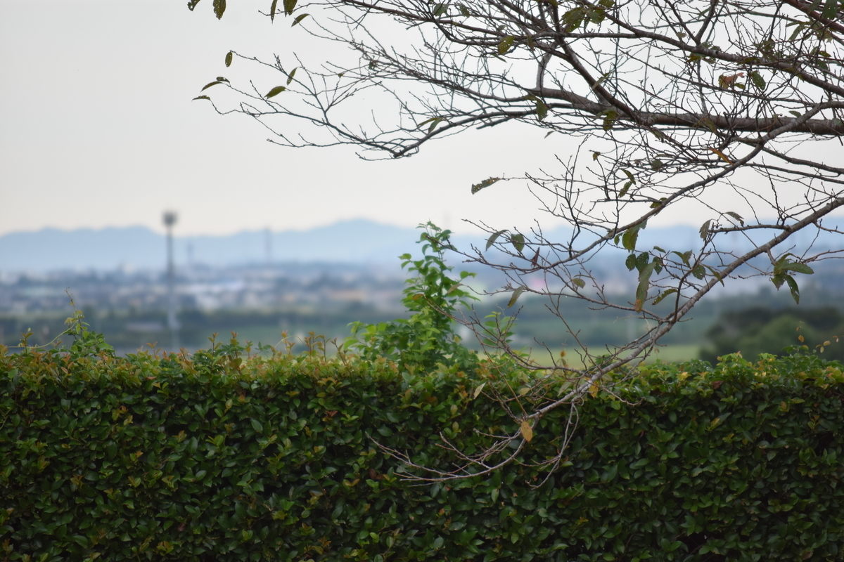 f:id:BlueTech:20200920191251j:plain