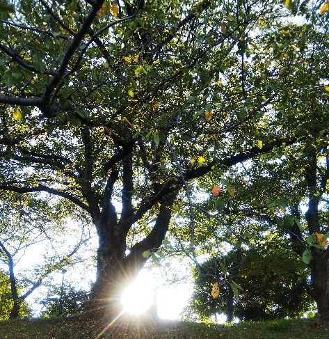 f:id:BlueTech:20200922143928j:plain