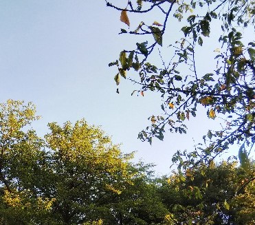 f:id:BlueTech:20200922143941j:plain