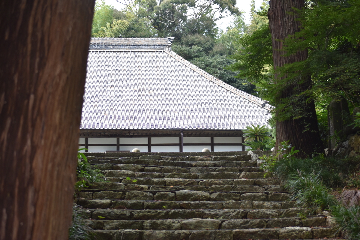 f:id:BlueTech:20200929202254j:plain