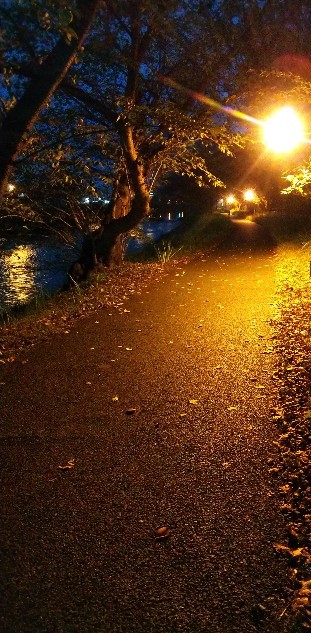 f:id:BlueTech:20201013181842j:plain