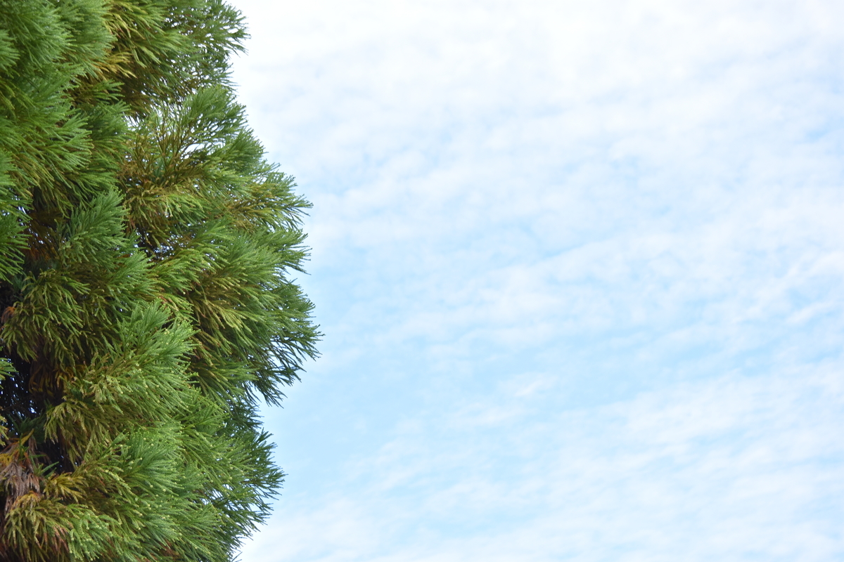 f:id:BlueTech:20201025073826j:plain