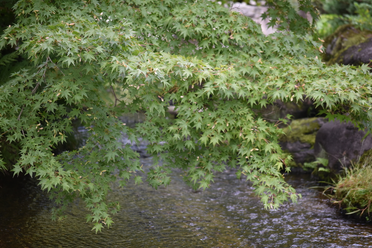f:id:BlueTech:20201025215255j:plain