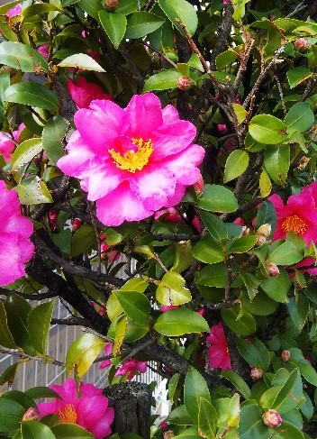 f:id:BlueTech:20201211214420j:plain