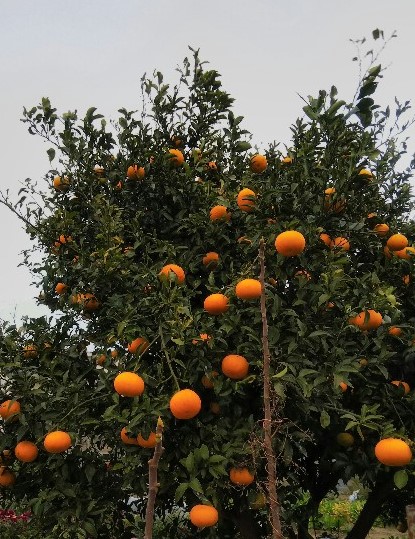 f:id:BlueTech:20201215180050j:plain