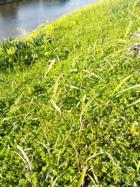 f:id:BlueTech:20201219121044j:plain