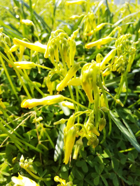 f:id:BlueTech:20201219121053j:plain