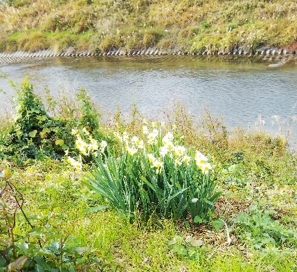 f:id:BlueTech:20201219121208j:plain