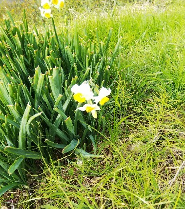 f:id:BlueTech:20201219121212j:plain