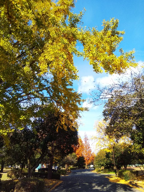 f:id:BlueTech:20201219152819j:plain
