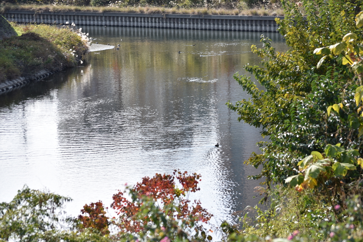 f:id:BlueTech:20210102212502j:plain